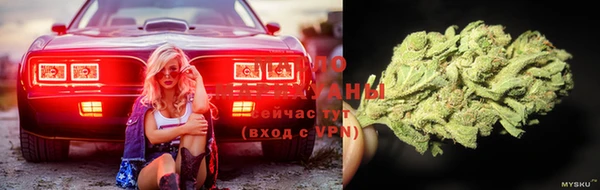 прущие крисы Гусь-Хрустальный